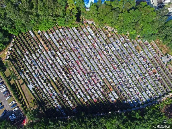 深圳迎来清明扫墓高峰是什么情况？