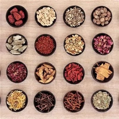 五倍子的作用是什么