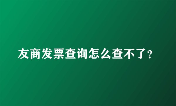 友商发票查询怎么查不了？