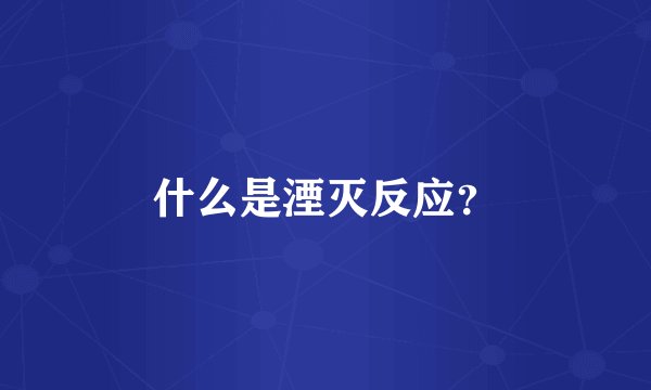 什么是湮灭反应？