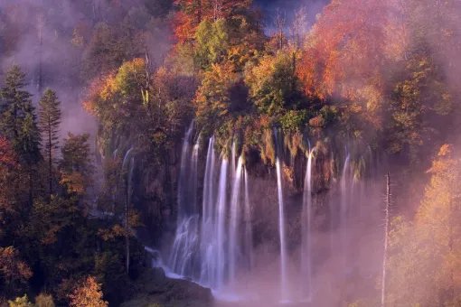 promise是什么意思