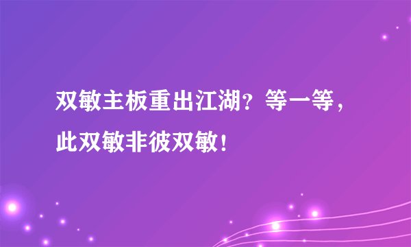 双敏主板重出江湖？等一等，此双敏非彼双敏！