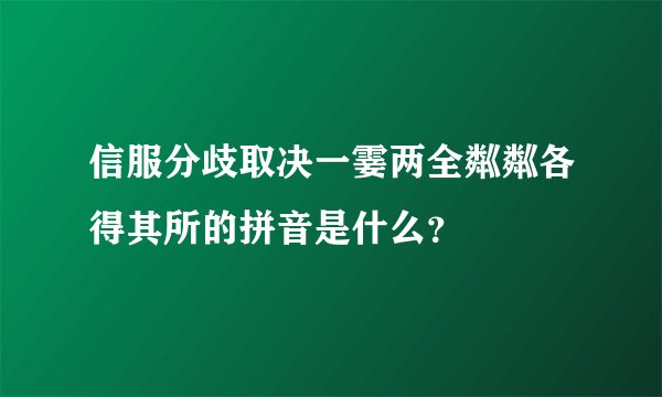 信服分歧取决一霎两全粼粼各得其所的拼音是什么？