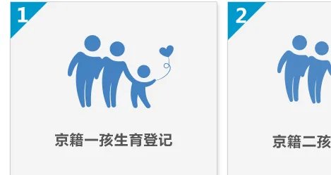 计划生育登记网上查询