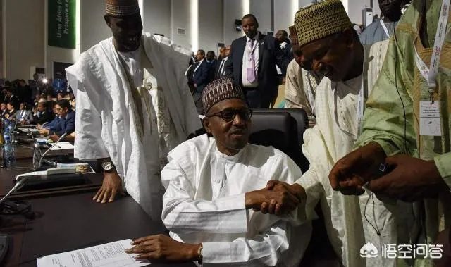 非洲自贸区的建立对非洲的影响是什么？