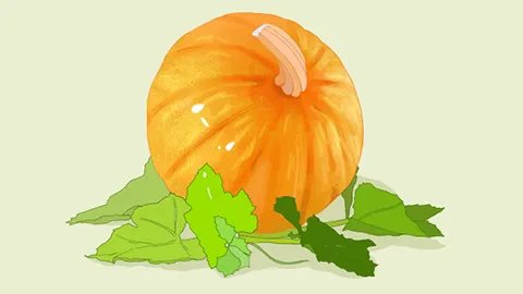 痛经吃什么食物比较好