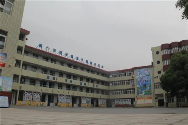 合肥市公立小学排名榜 合肥市青年路小学上榜第一设备丰富