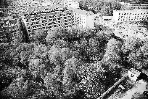 学校在建立之前大多都是坟场,这是真的吗?