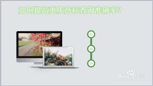 个人怎么进行重庆商标注册