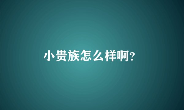 小贵族怎么样啊？
