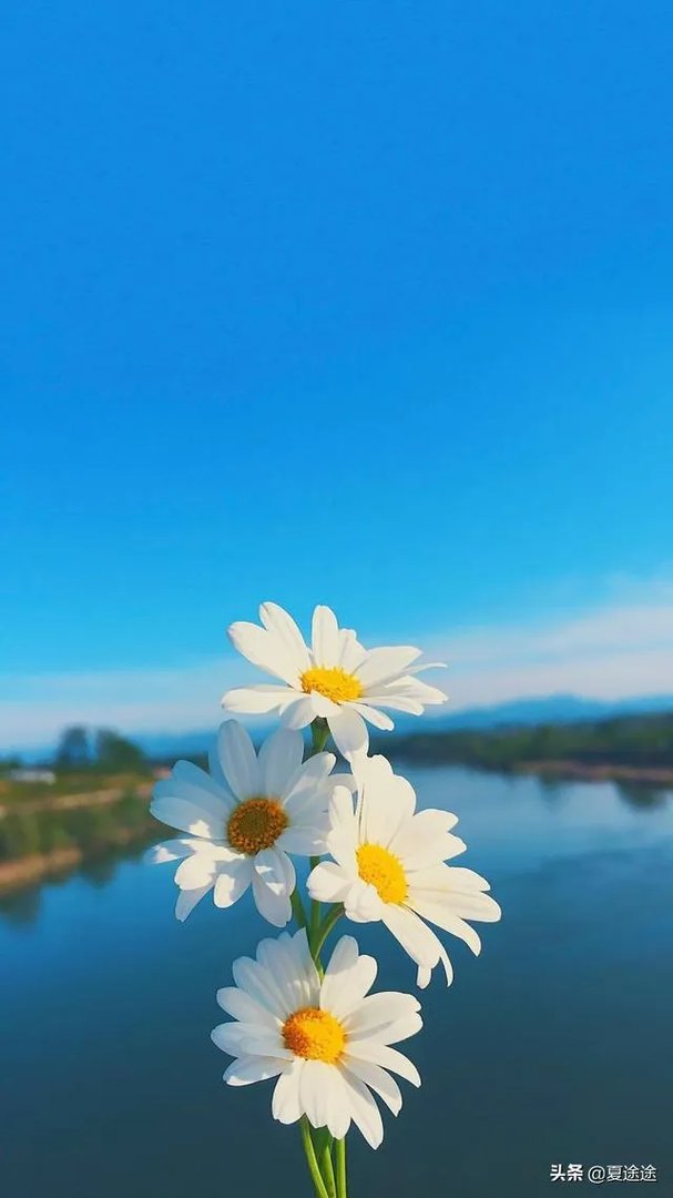 好的婚姻是什么样子的？