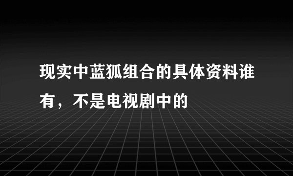 现实中蓝狐组合的具体资料谁有，不是电视剧中的