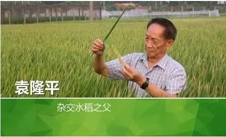 是什么支撑着89岁高龄的袁隆平还在努力？