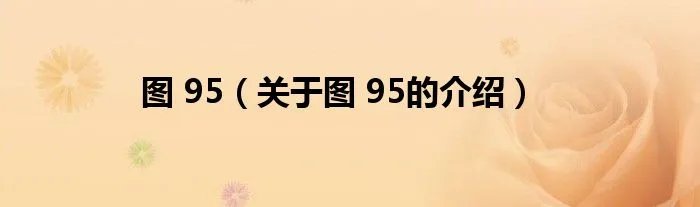 图 95（关于图 95的介绍）
