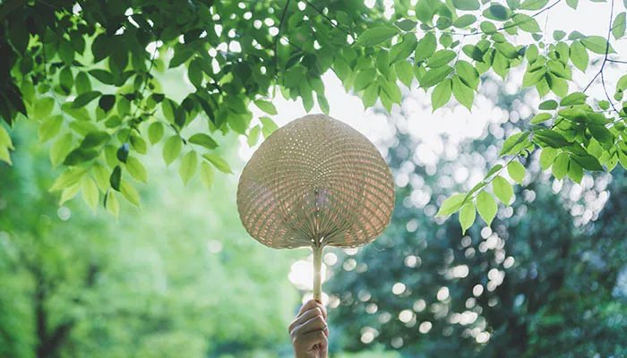 2022初伏从哪一天开始 2022初伏是什么时候