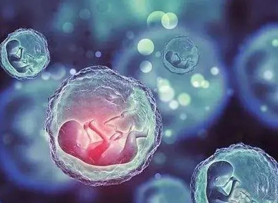 试管最有名的医院-20年品牌清华医院受邀参加第八届全国生殖博览会