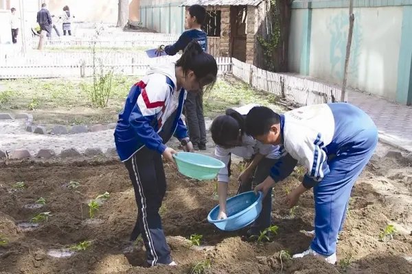 如何看待劳动课正式升级为中小学独立课程？对学生有什么益处？