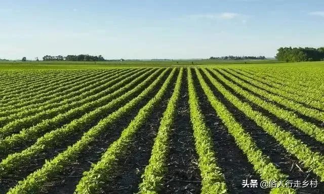 未来我国农机化发展趋势是怎样的？