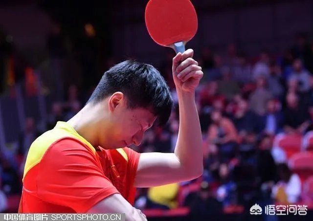 保公赛马龙3-4不敌皮切福德，日本赛2-4不敌张本智和，龙队究竟怎么了？