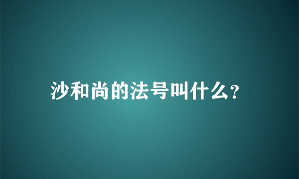 沙和尚的法号叫什么？