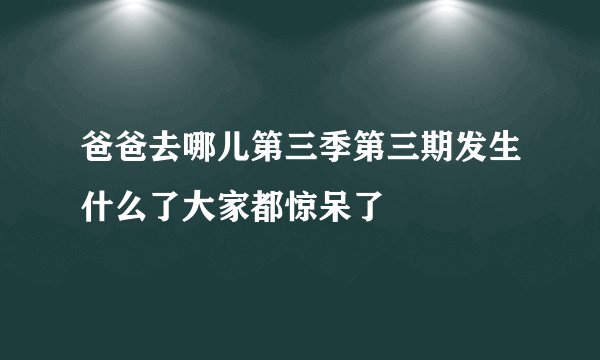 爸爸去哪儿第三季第三期发生什么了大家都惊呆了