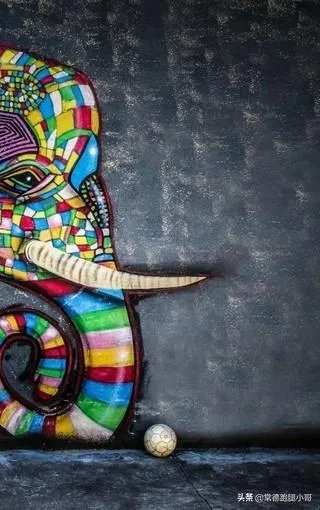 网红为什么都开传媒公司