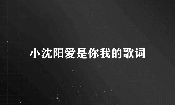 小沈阳爱是你我的歌词