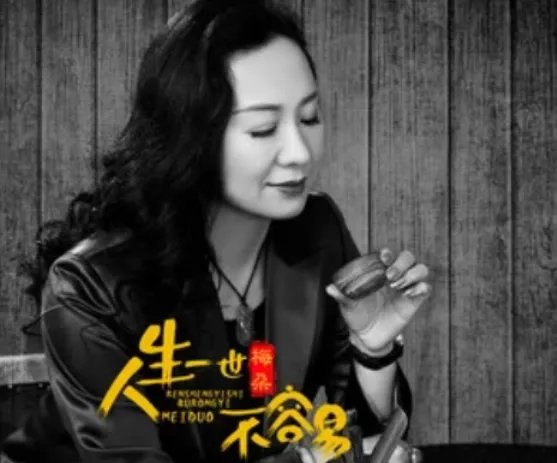 人生在世不容易一场悲来一场喜是什么歌