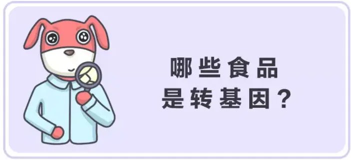 ”美国人不吃转基因食物”谁说的?他们吃得欢着呢!