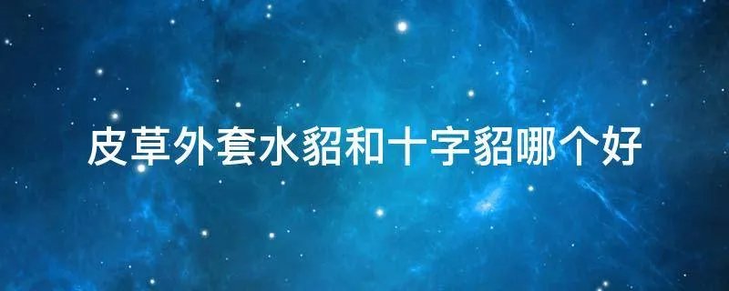 皮草外套水貂和十字貂哪个好