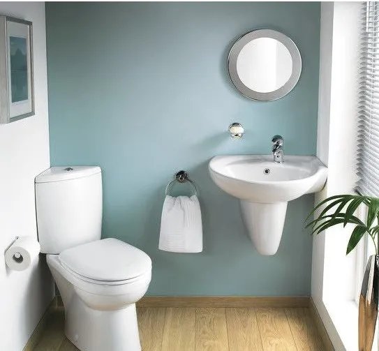 马桶怎么用才健康卫生  正确的使用马桶方法