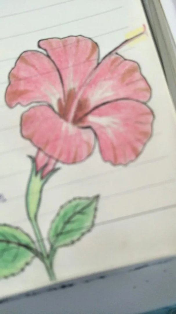 2017上海草莓音乐节什么时候举办？