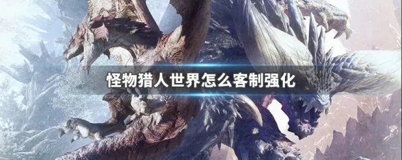 怪物猎人世界怎么客制强化