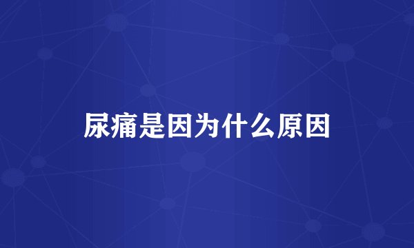 尿痛是因为什么原因