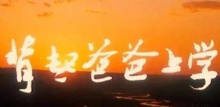 和孝女彩金电影相似的那些？