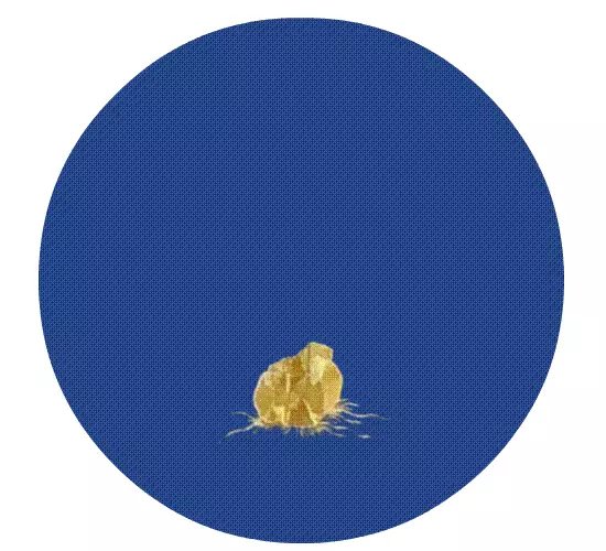 故宫口红哪个好看,故宫口红就选它