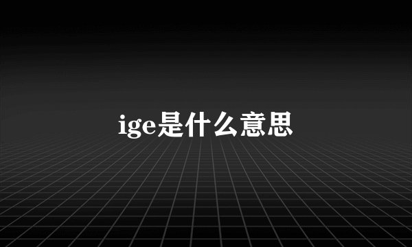 ige是什么意思
