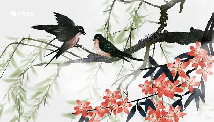 燕子在家里搭窝预示着什么意思