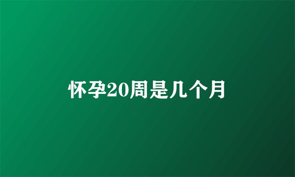 怀孕20周是几个月