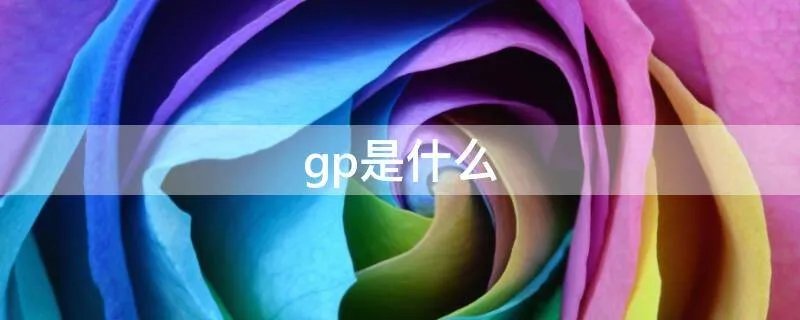 gp是什么