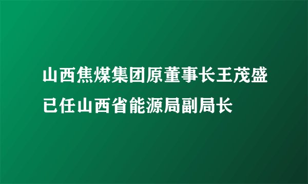 山西焦煤集团原董事长王茂盛已任山西省能源局副局长