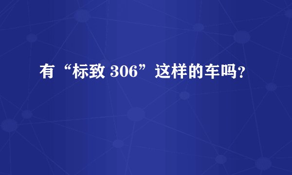 有“标致 306”这样的车吗？