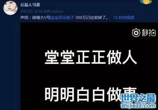 公益人马蓉微博高仿号猖狂，唯恐天下不乱赚钱 