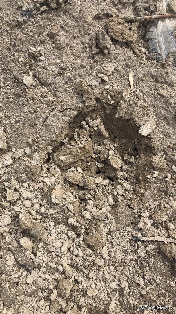 如果伊朗现在有核弹了，美国还敢威胁伊朗吗？