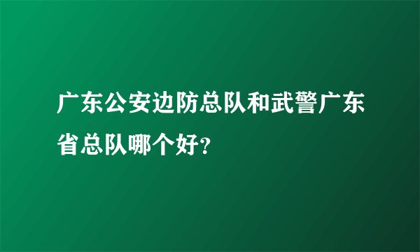 广东公安边防总队和武警广东省总队哪个好？