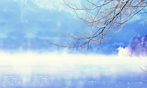 止的组词是什么