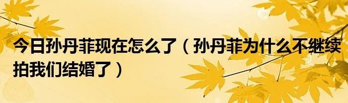 今日孙丹菲现在怎么了（孙丹菲为什么不继续拍我们结婚了）