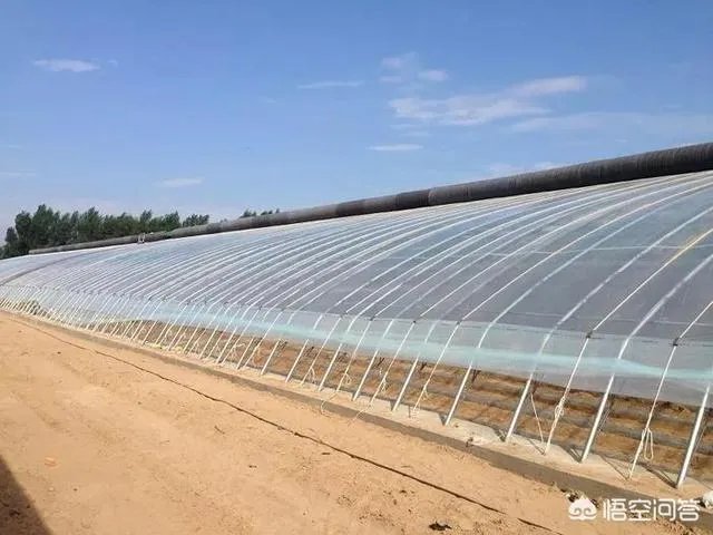 温室大棚的工作原理是什么？
