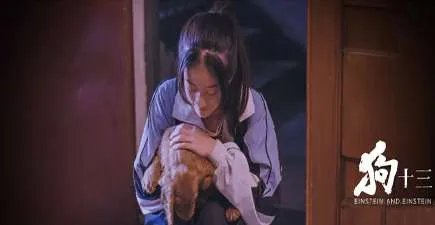 《狗十三》原名叫什么 叫狗十三的原因是什么