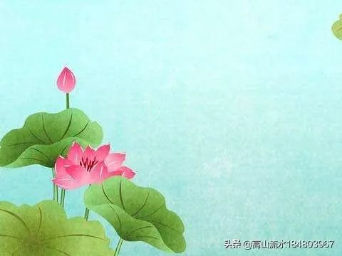 古诗《小池》里晴柔是什么意思?